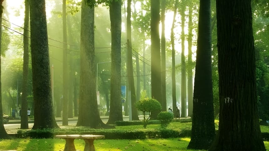 Những lưu ý khi lên lịch đi công viên cho du khách