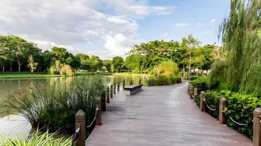 Thông tin chi tiết về Công Viên Celadon