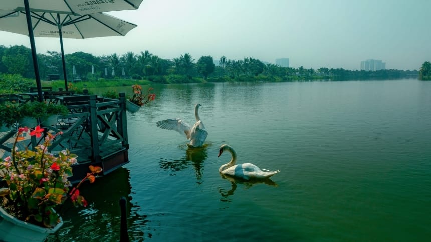 Thông tin về công viên Hồ Thiên Nga