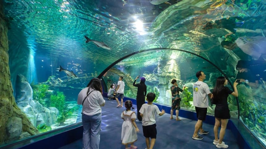Thông tin về thủy cung Lotte Mall Tây Hồ