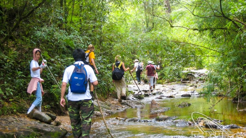 Tour lên vườn quốc gia Hoàng Liên nên chọn