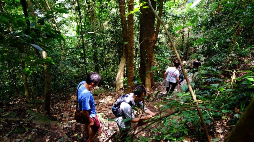Trekking rừng khô mùa nắng nhẹ