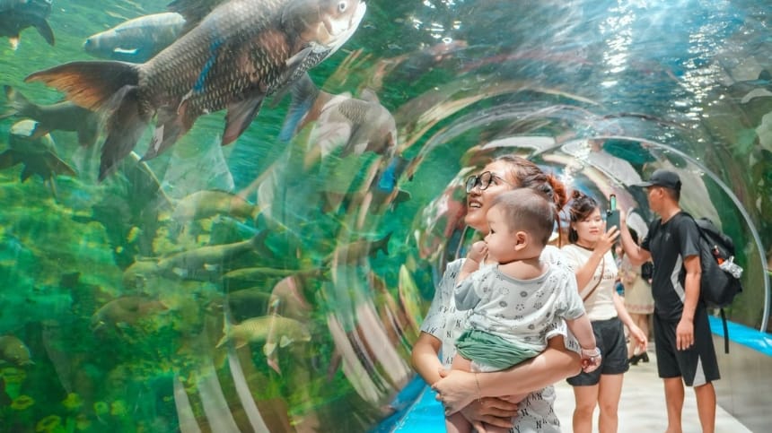 Vài nét về thủy cung Thiên Đường Bảo Sơn