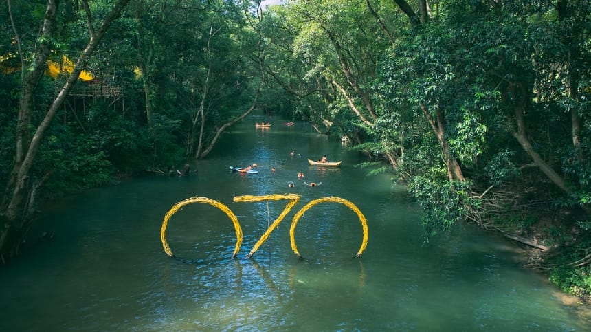 Zipline Xuyên Rừng Cực Phấn Khích