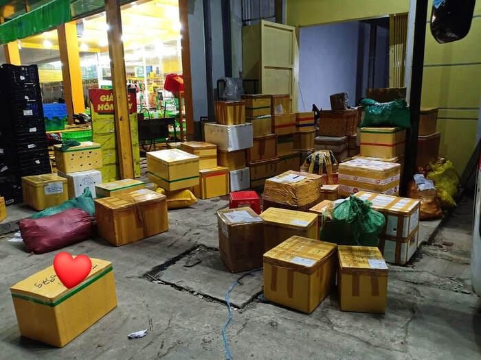 Tuyến xe Cần Thơ - Sài Gòn có khung giờ đa dạng đáp ứng với nhu cầu của khách hàng