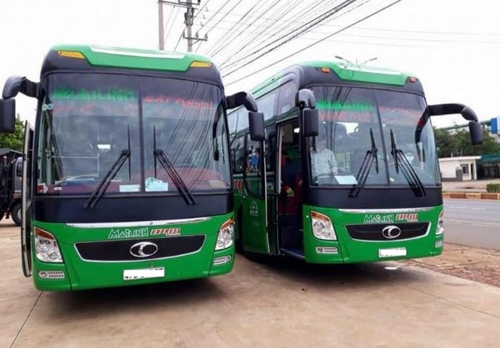 Ngoài dịch vụ taxi, Mai Linh Gia Lai còn phục vụ cho thuê xe hợp đồng phục vụ doanh nghiệp