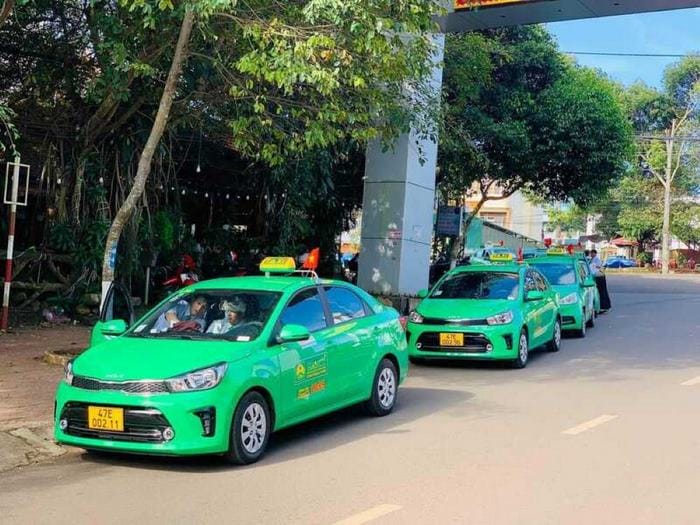 Hãng taxi Mai Linh Gia Lai đáp ứng đa dạng nhu cầu từ cá nhân đến tổ chức