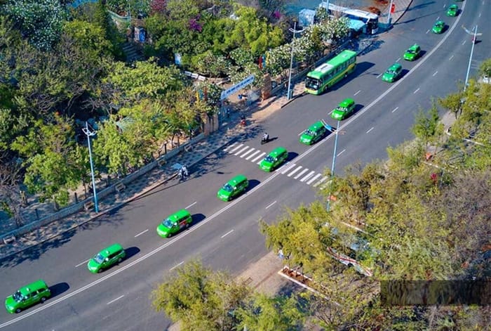 Đội xe taxi Mai Linh Vũng Tàu đa dạng để đáp ứng mọi nhu cầu di chuyển của khách hàng